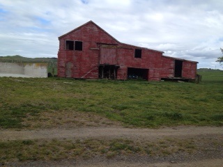  the old woolshed at ohinewai 